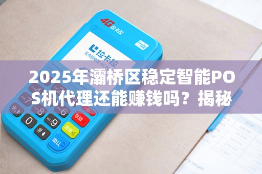 2025年灞桥区稳定智能POS机代理还能赚钱吗？揭秘行业真相与机遇！