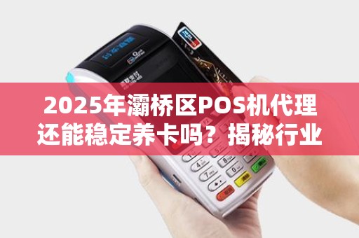 2025年灞桥区POS机代理还能稳定养卡吗?揭秘行业真相与生存法则! 2025年灞桥区POS机代理还能稳定养卡吗?揭秘行业真相与生存法则!