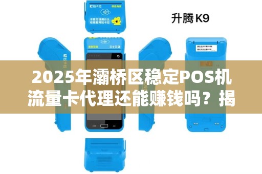 2025年灞桥区稳定POS机流量卡代理还能赚钱吗?揭秘行业现状与未来趋势! 2025年灞桥区稳定POS机流量卡代理还能赚钱吗?揭秘行业现状与未来趋势!