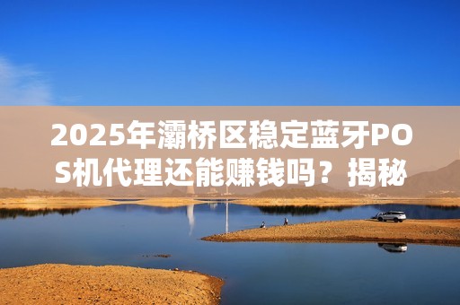 2025年灞桥区稳定蓝牙POS机代理还能赚钱吗?揭秘行业现状与未来趋势! 2025年灞桥区稳定蓝牙POS机代理还能赚钱吗?揭秘行业现状与未来趋势!