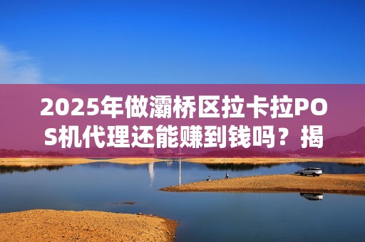 2025年做灞桥区拉卡拉POS机代理还能赚到钱吗？揭秘行业现状与盈利模式