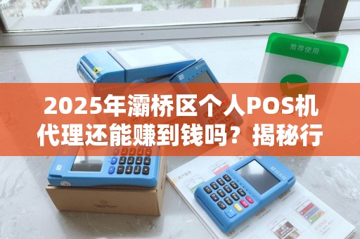 2025年灞桥区个人POS机代理还能赚到钱吗?揭秘行业真实生存现状 2025年灞桥区个人POS机代理还能赚到钱吗?揭秘行业真实生存现状