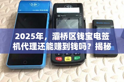 2025年，灞桥区钱宝电签机代理还能赚到钱吗？揭秘行业现状与盈利秘诀！