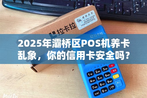 2025年灞桥区POS机养卡乱象,你的信用卡安全吗? 2025年灞桥区POS机养卡乱象,你的信用卡安全吗?