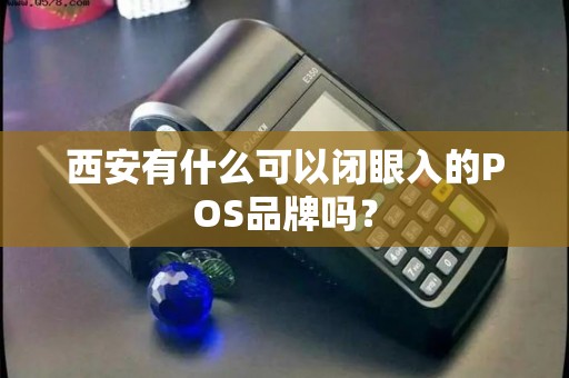 西安有什么可以闭眼入的POS品牌吗？