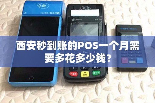 西安秒到账的POS一个月需要多花多少钱？