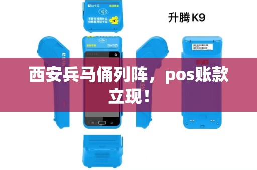 西安兵马俑列阵,pos账款立现! 西安兵马俑列阵,pos账款立现!