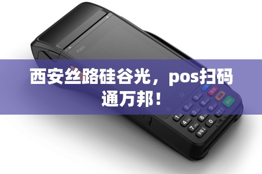 西安丝路硅谷光，pos扫码通万邦！