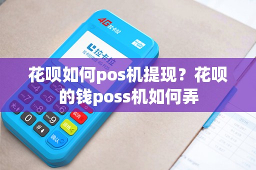 花呗如何pos机提现？花呗的钱poss机如何弄