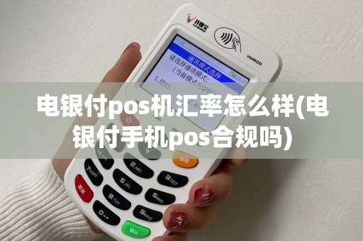 电银付pos机汇率怎么样(电银付手机pos合规吗)