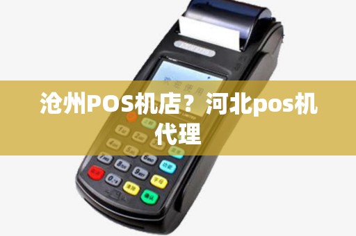 沧州POS机店？河北pos机代理