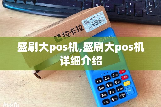 盛刷大pos机,盛刷大pos机详细介绍