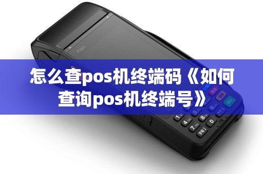 怎么查pos机终端码《如何查询pos机终端号》