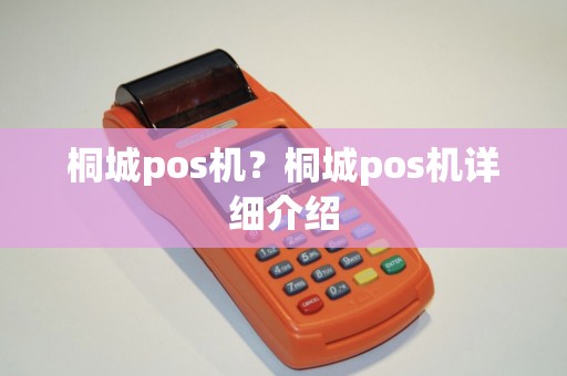 桐城pos机?桐城pos机详细介绍 桐城pos机?桐城pos机详细介绍