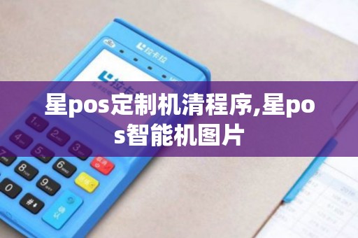 星pos定制机清程序,星pos智能机图片 星pos定制机清程序,星pos智能机图片