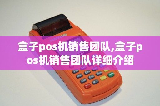 盒子pos机销售团队,盒子pos机销售团队详细介绍 盒子pos机销售团队,盒子pos机销售团队详细介绍