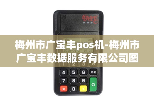 梅州市广宝丰pos机-梅州市广宝丰数据服务有限公司图片