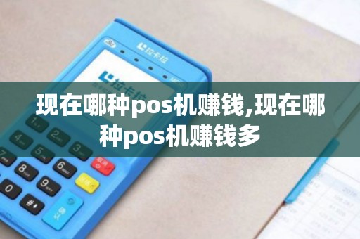 现在哪种pos机赚钱,现在哪种pos机赚钱多 现在哪种pos机赚钱,现在哪种pos机赚钱多