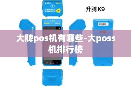 大牌pos机有哪些-大poss机排行榜 大牌pos机有哪些-大poss机排行榜