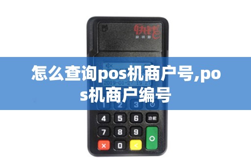 怎么查询pos机商户号,pos机商户编号 怎么查询pos机商户号,pos机商户编号