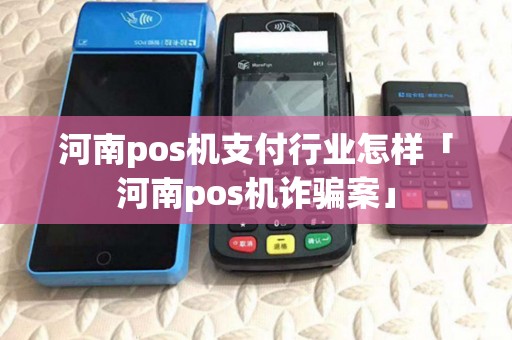 河南pos机支付行业怎样「河南pos机诈骗案」 河南pos机支付行业怎样「河南pos机诈骗案」