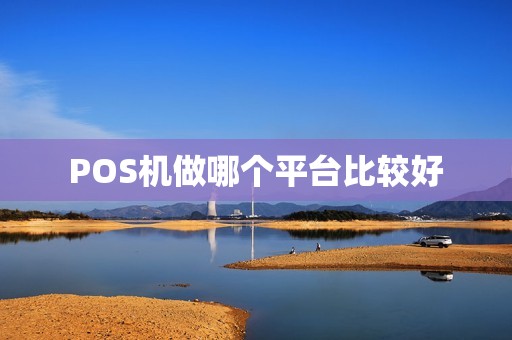 POS机做哪个平台比较好