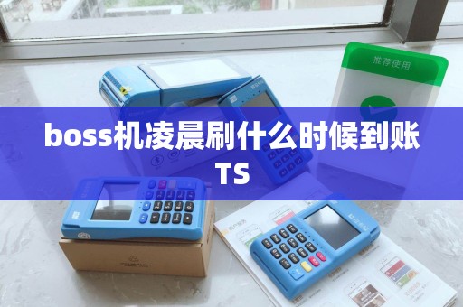 boss机凌晨刷什么时候到账TS boss机凌晨刷什么时候到账TS