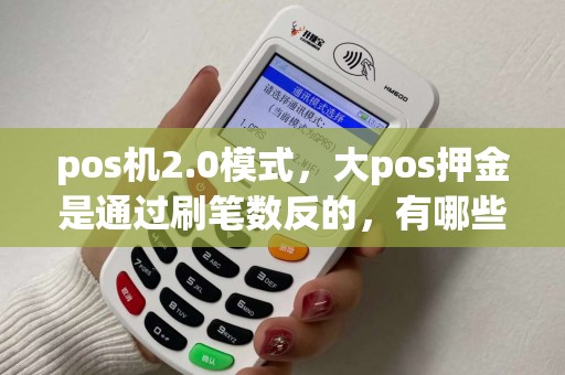 pos机2.0模式，大pos押金是通过刷笔数反的，有哪些？