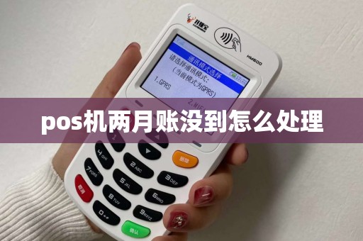 pos机两月账没到怎么处理 pos机两月账没到怎么处理