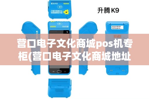 营口电子文化商城pos机专柜(营口电子文化商城地址) 营口电子文化商城pos机专柜(营口电子文化商城地址)