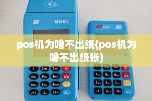 pos机为啥不出纸{pos机为啥不出纸张}