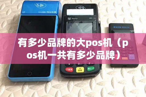 有多少品牌的大pos机(pos机一共有多少品牌) 有多少品牌的大pos机(pos机一共有多少品牌)
