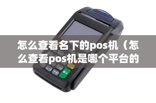 怎么查看名下的pos机（怎么查看pos机是哪个平台的）