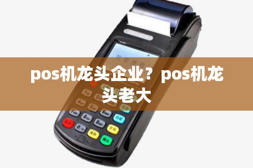 pos机龙头企业?pos机龙头老大 pos机龙头企业?pos机龙头老大