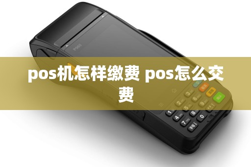 pos机怎样缴费 pos怎么交费 pos机怎样缴费 pos怎么交费