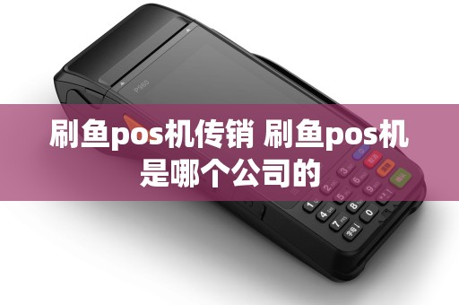 刷鱼pos机传销 刷鱼pos机是哪个公司的 刷鱼pos机传销 刷鱼pos机是哪个公司的