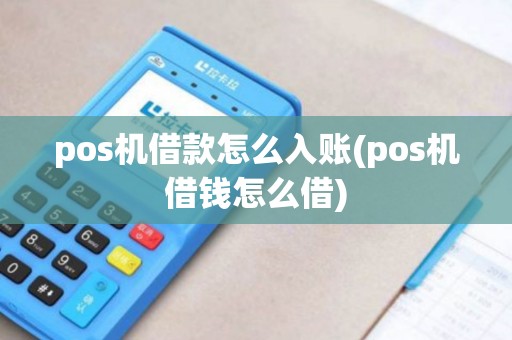 pos机借款怎么入账(pos机借钱怎么借) pos机借款怎么入账(pos机借钱怎么借)